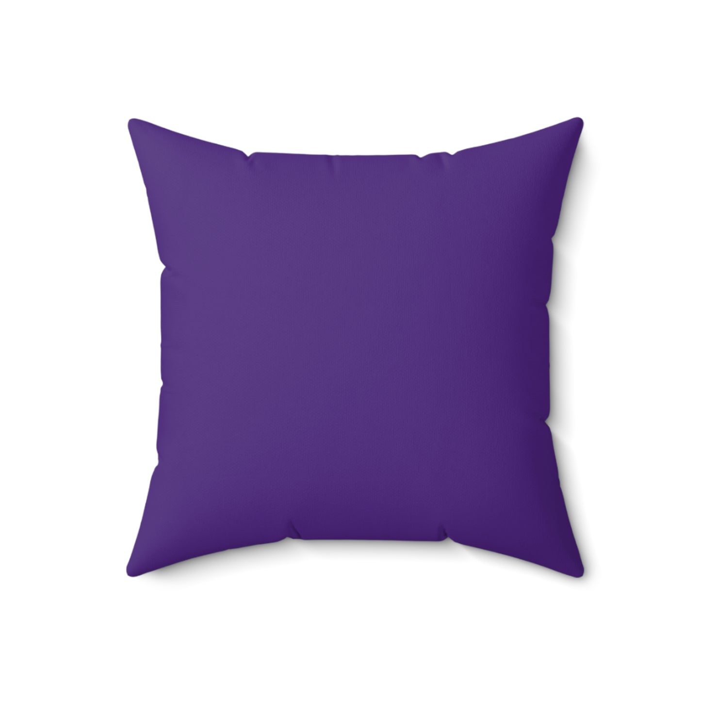 Retro Music Duo Decorative Pillow - Ideal for Home and Concert Lovers